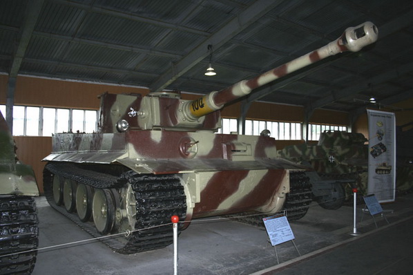 tiger_1_01.jpg