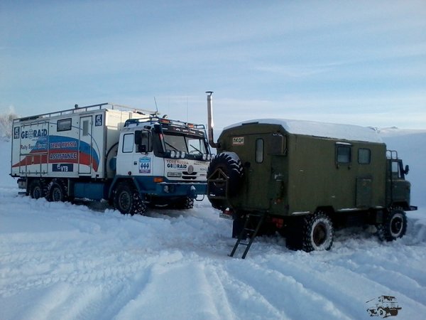 Первые ласточки  :-)