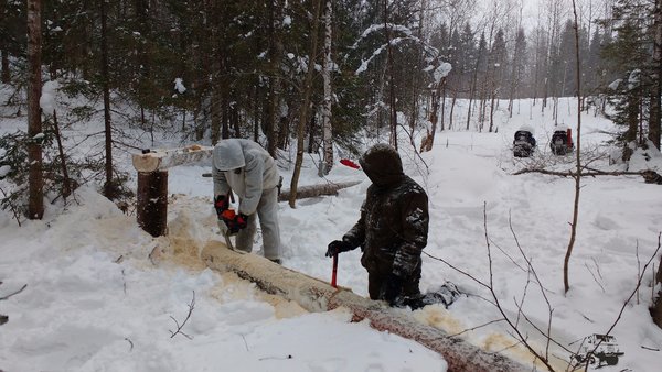 дровосеки, не путать с .........