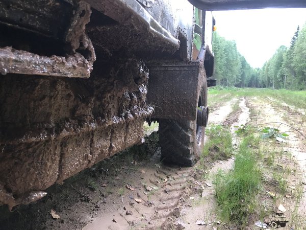 Лесные какшки облепили всю машину