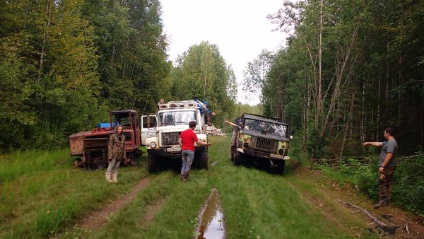 Отец тянется к сыну, рука дружбы в семье