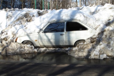 15 Подснежник март 2006.jpg