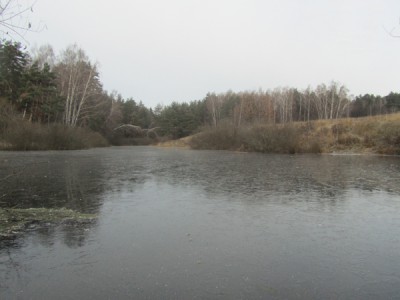 IMG_2744.jpg
