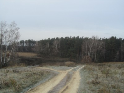 IMG_2746.jpg
