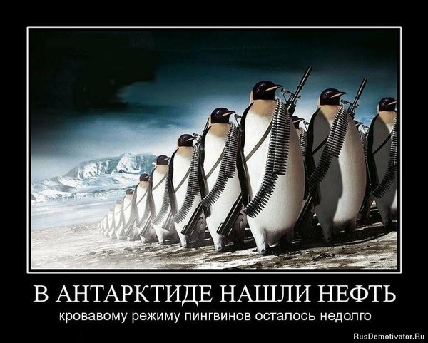 Политика