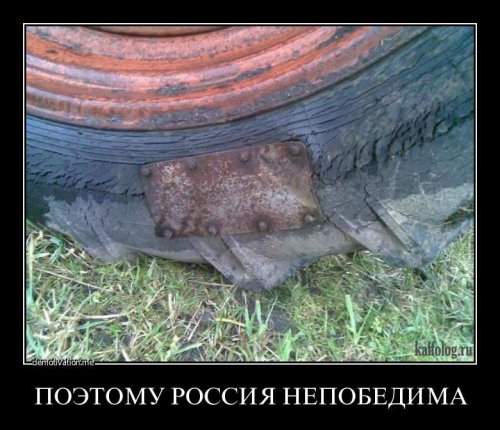 1356410935_047.jpg