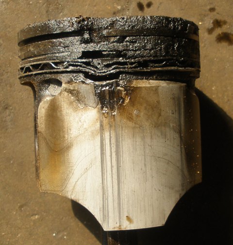 P1010003.JPG