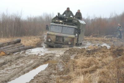 подозрительные бревна