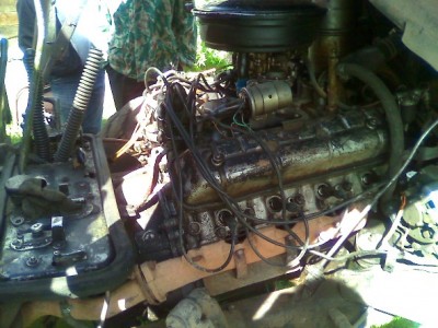 mot_4257.jpg