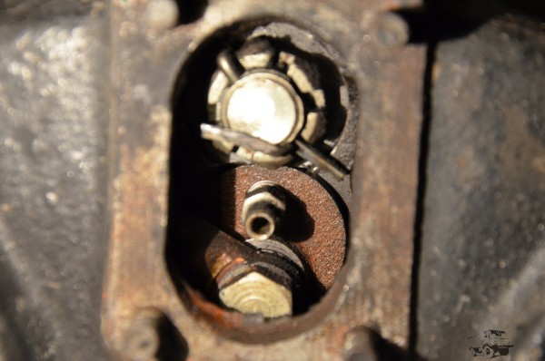DSC_4502.JPG