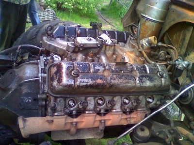 mot_4282.jpg