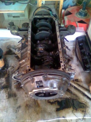 mot_4360.jpg