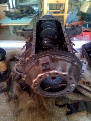 mot_4361.jpg