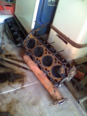 mot_4363.jpg