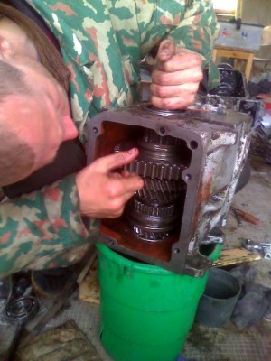 mot_4371.jpg