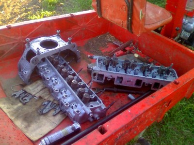 mot_4429.jpg