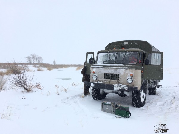 лебедь