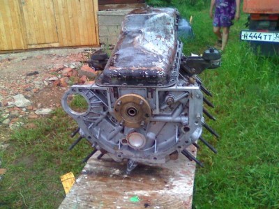 mot_4499.jpg