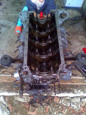 mot_4573.jpg