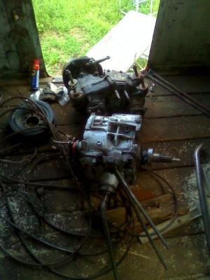 mot_460569.jpg