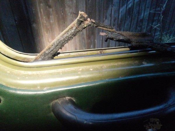 CAM01083.jpg
