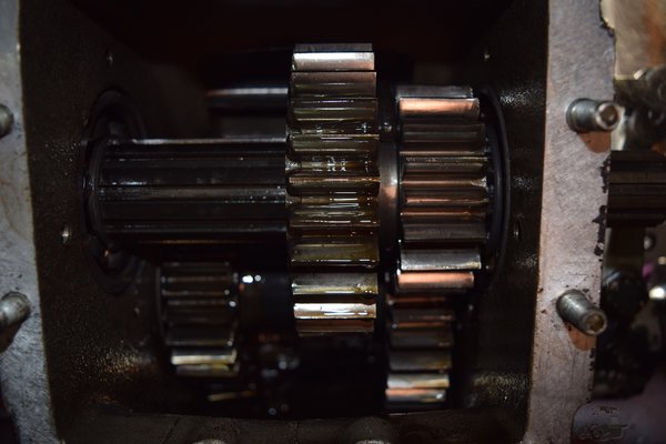 DSC_0163.JPG