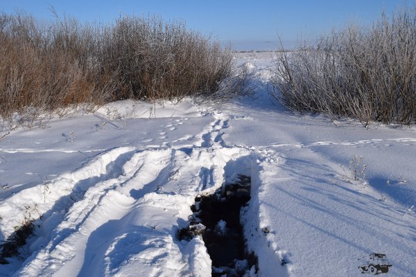 DSC_0176.JPG