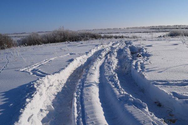 DSC_0185.JPG