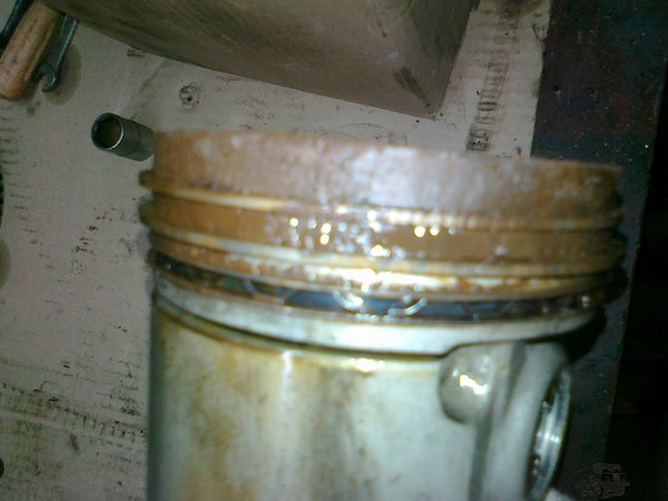 12102010150.jpg