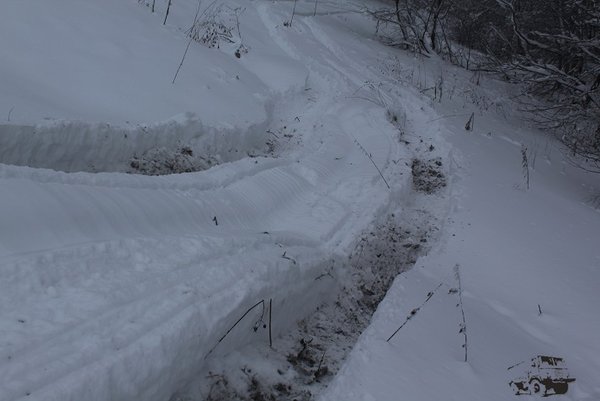 IMG_8929.JPG