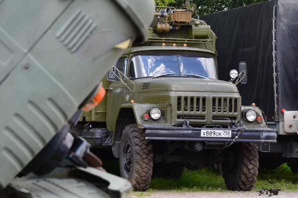 Вот такой красавиц сосед появился прямо с консервации..