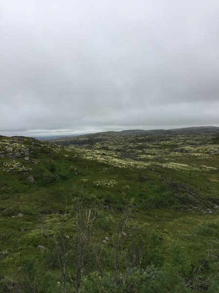 C0F1351A-6003-4777-B975-8534372C5626.jpeg