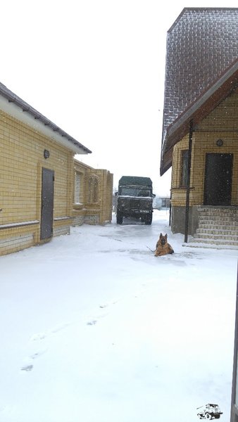 IMAG2580.jpg