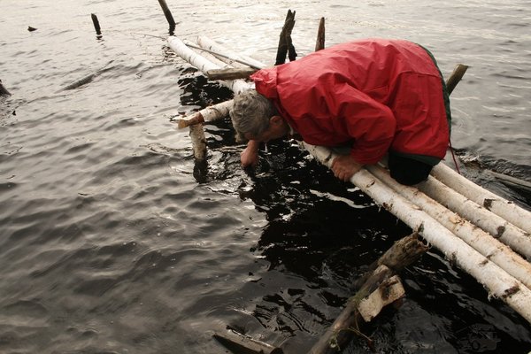 В поисках трофея. Окунь 3.2 кг... Через 30 сек. я сделал шаг в озеро и черпанул в вейдерсы водички. Оправдало! оз. Глубокое! Жаль снять рыбку не получилось... батарейку пришлось вынуть из фото...