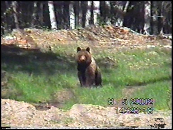 - весна 2002 года - оз Кривое. (снимали мыльницей качество плохое)