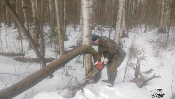 5. Заготавливаем сухие дрова