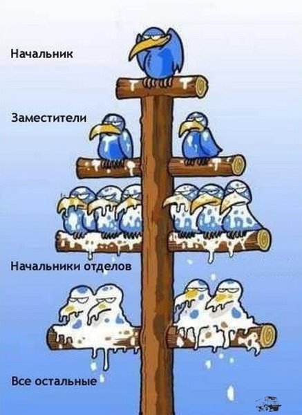 Иерархия.jpg
