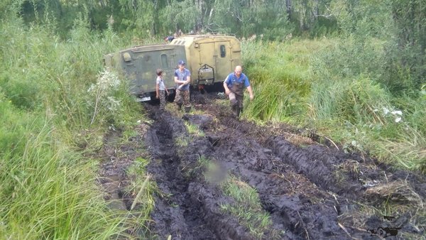 Вон, я ещё мордой в них нырнул