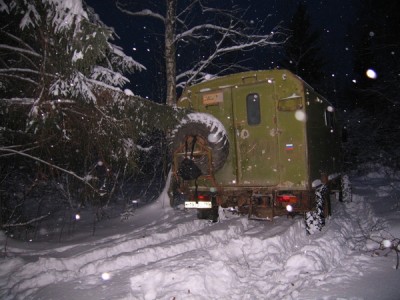 В лесу снега по колено.