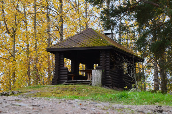 DSC_6767.JPG