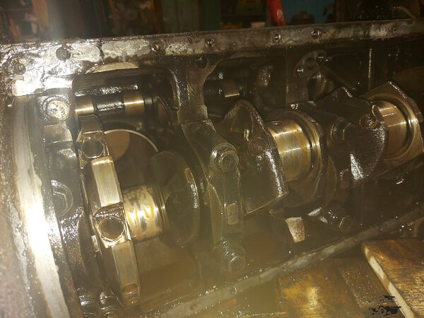 20201210_170956.jpg