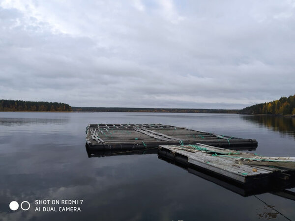 Из Мурманска в СПБ П. Чкаловский 24.09.2021г КочегарНЛО