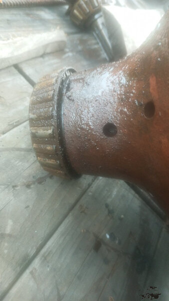 IMG-20231011-WA0002.jpeg