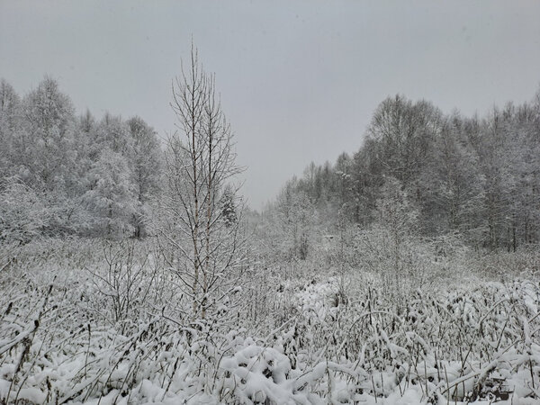20231025_104743.jpg