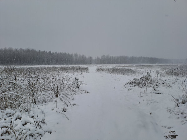20231025_105210.jpg
