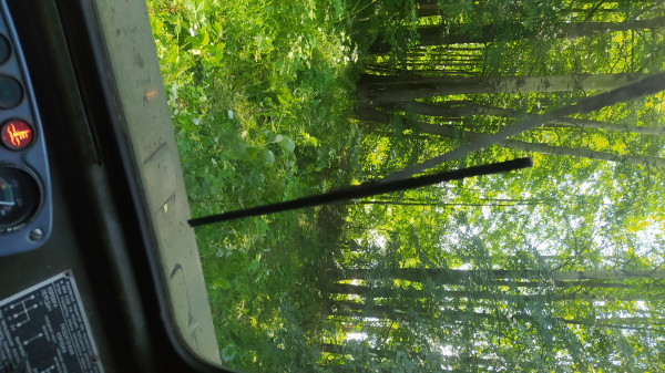 IMG_20240706_104728.jpg