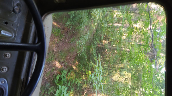 IMG_20240706_072314.jpg
