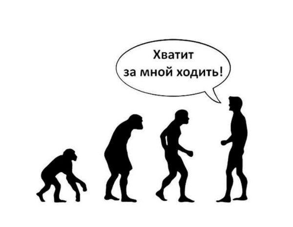 scale_2400.jpg