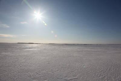 93 Тетяковка 27.03.11.jpg